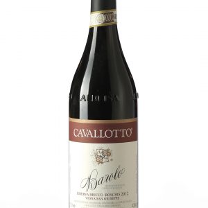 BAROLO "BRICCO BOSCHIS VIGNA SAN GIUSEPPE" 2013 CAVALLOTTO